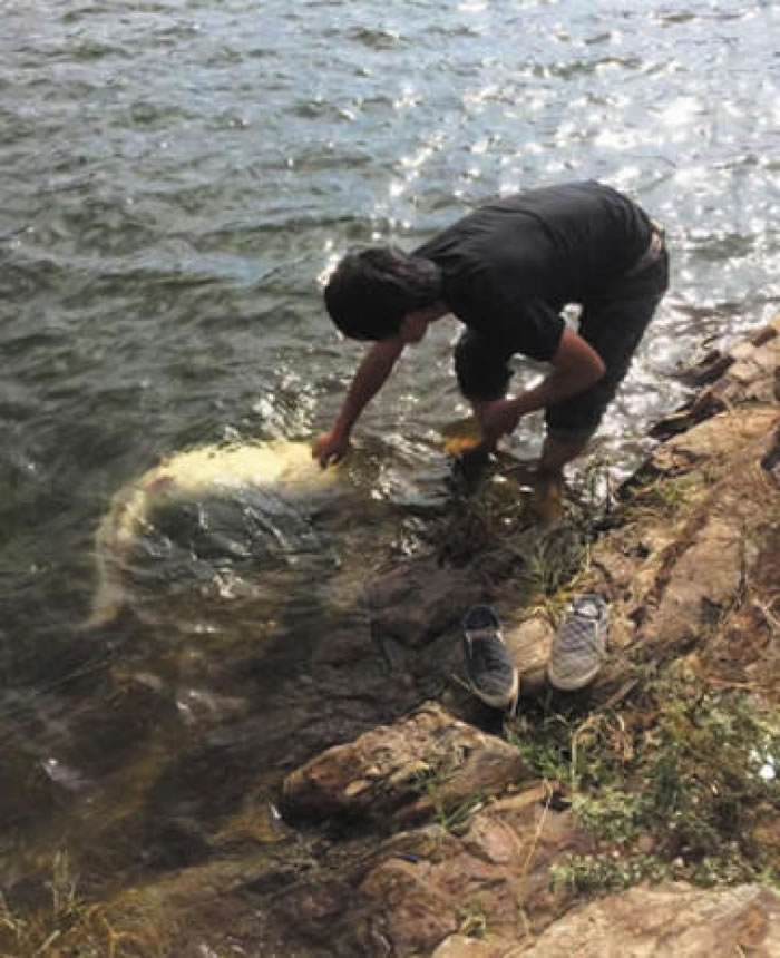 ���������ձ��Ż���ɽˮ�⡣