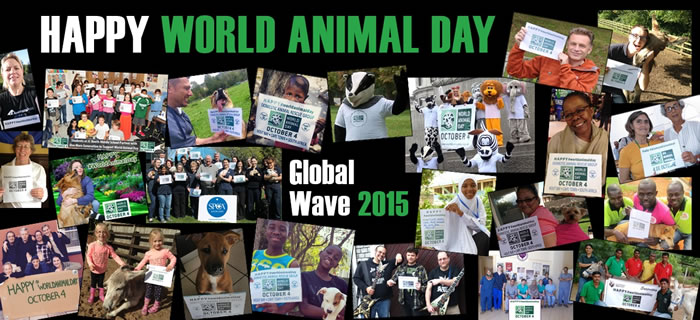 10��4�����綯���գ�World Animal Day��