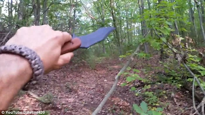 ����������ŦԼ��͢��ɭ�ַ��ִ���Ѱ������ ����������ɱ�˿�ħ��Ϣ֮��