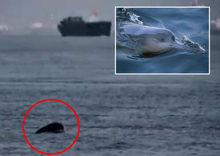 ������Ů�񡱰��D������ָ�����������俼���ǰ���ڳ�������ˮ�������ư��D�����Ӱ��