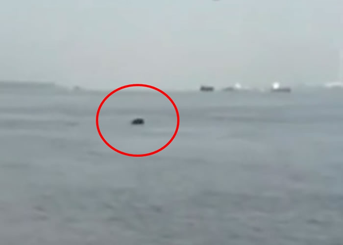 ��俼����ڳ��������ߺ���ɳ�޸���ˮ�򣬷������ư��D���û��