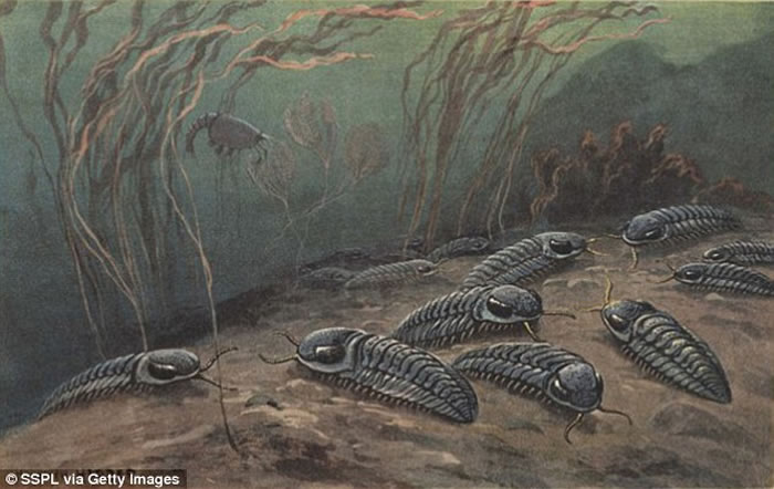 最新研究表明2.52亿年前物种大灭绝事件实际仅导致81%海洋生物灭绝