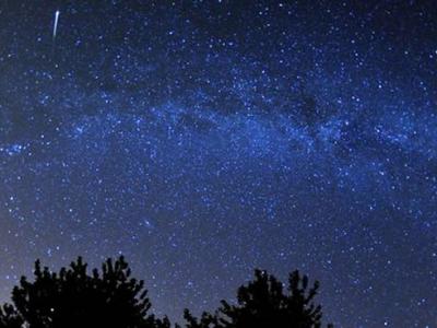 鬼剃头不用怕?美国哥伦比亚大学用治疗癌症药