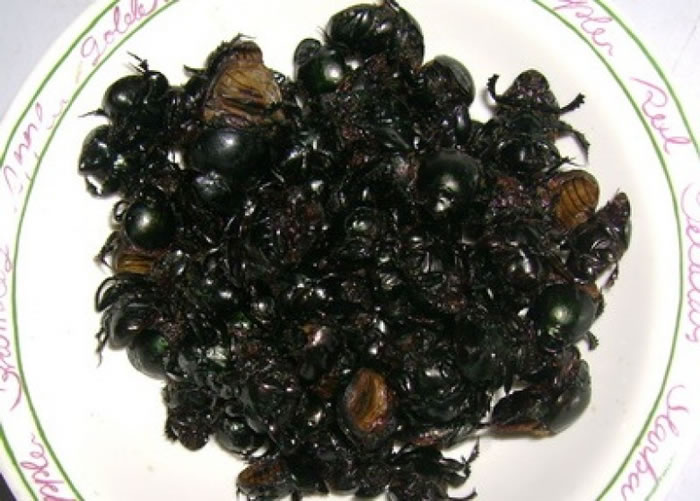 ̩���еط����ڰ���������ţ���ڵ����档