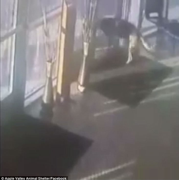 ݵ¹ȮǹҾ ʹ򿪱ӻĴšԽ