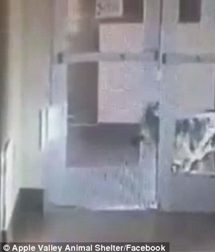 ݵ¹ȮǹҾ ʹ򿪱ӻĴšԽ