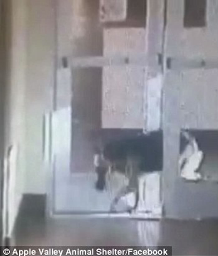 ݵ¹ȮǹҾ ʹ򿪱ӻĴšԽ