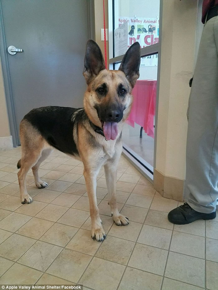 ݵ¹ȮǹҾ ʹ򿪱ӻĴšԽ