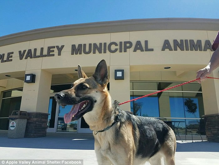 ݵ¹ȮǹҾ ʹ򿪱ӻĴšԽ