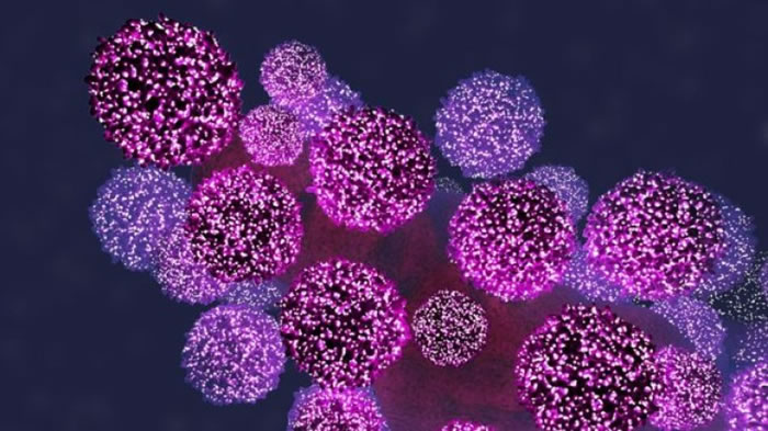 研究发现,部分儿童有“类似猴子”的免疫系统。