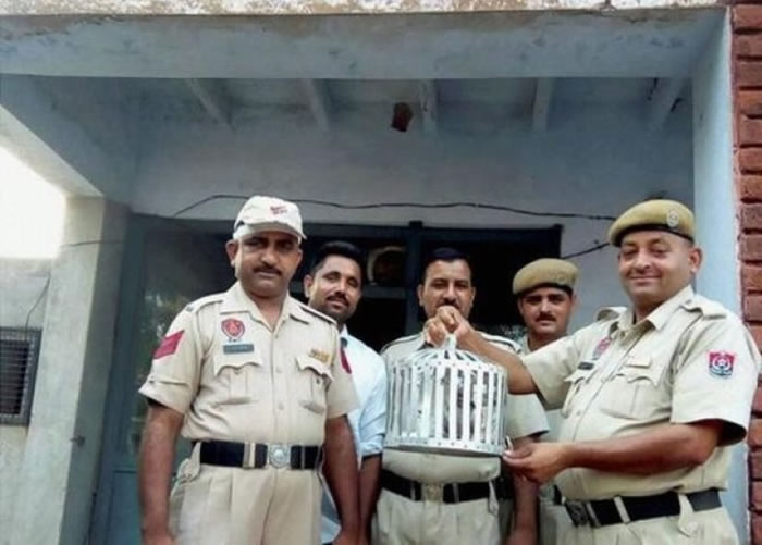 ӡ�Ⱦ��������׸롣