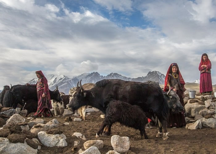 �ߺ���������ţά����