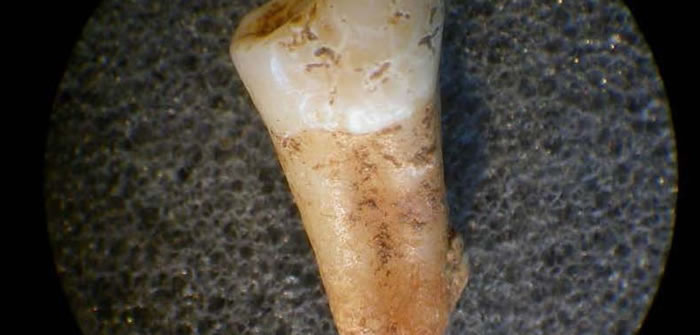 ��ͭʱ����ס�ڲ��еߺͰ��������������ϵľ����Ѿ��ܹ��Ƚ�Ƶ����Ǩ��