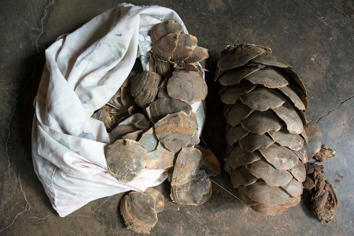 ��Խ�Ϻ��й�����ɽ�׵���Ƭ��������ҩ�ġ� PHOTOGRAPH BY CEDRIC AND ELYANE JACQUET