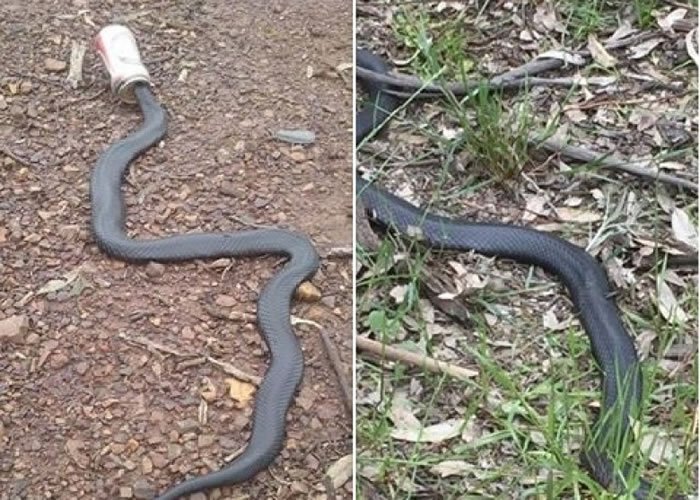 ����ʹȻ�����ೣ������������װ���嵱�С�