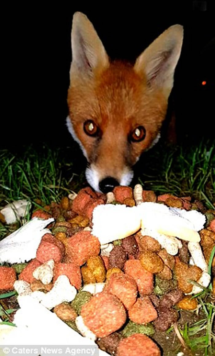 Ӣ��С���겻��͵�Ի�͵���ֻ�