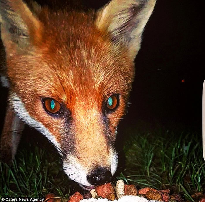 Ӣ��С���겻��͵�Ի�͵���ֻ�