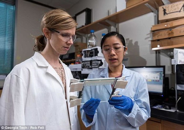 ��������������ѧԺ�о���Ա����˹͡-��(��)������-���޷���ڡ�