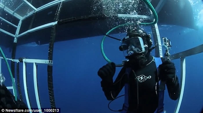 鲨鱼的视频真实的大白鲨 1_2016101711250117vOZ.jpg