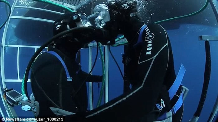 ������֤���������ӷ����������