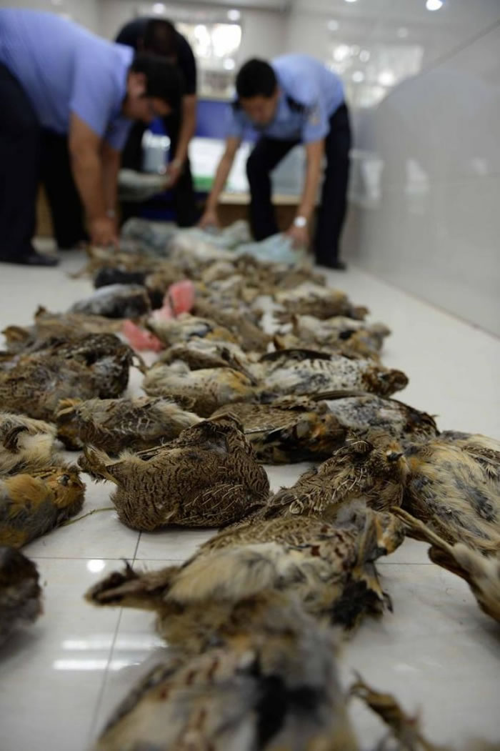 2015���й�������ʡ��������������ٰ������ơ�¹�ס�¹��������� PHOTOGRAPH BY WANG KAI, XINHUA NEWS AGENCY, RE