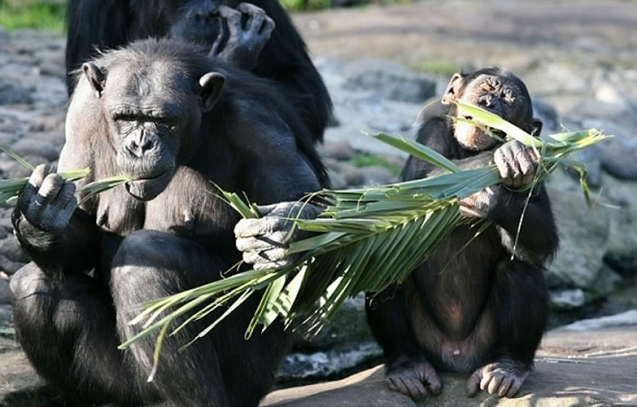 ѧָйصо˽Ļ뼼ݱ䡣