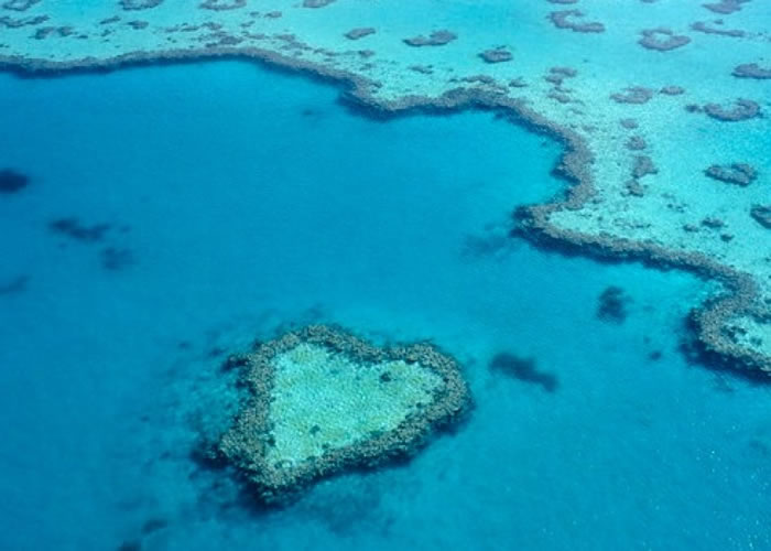 �Ÿ���ɭָ�󱤽��Ѿ�������