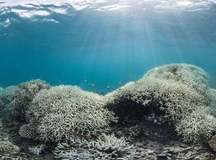 �󱤽����걥�ܰ׻�Ӱ�졣