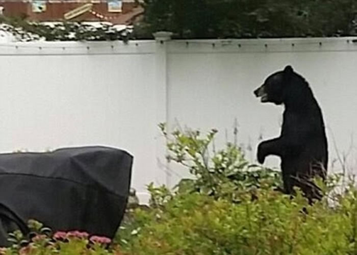 ���˹�������Ķ�̬���ܵ��ؾ���ϲ����