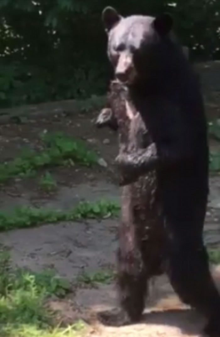 ���˹�������ܵ������Դ��ˡ�