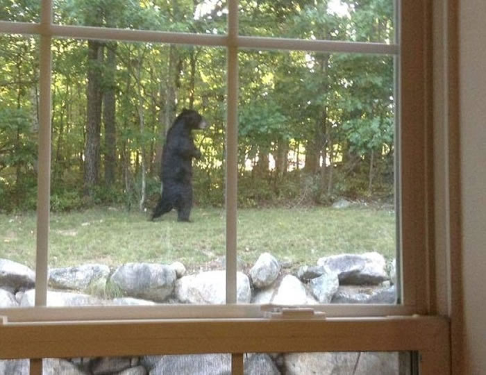 �����ڼ��п������˹�ڻ�԰���