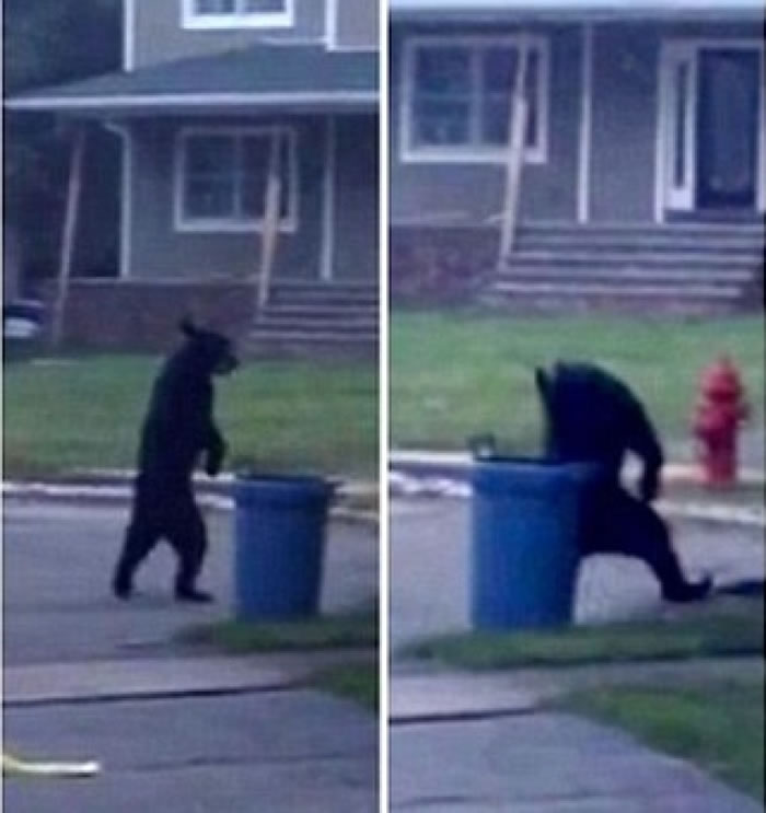 ���˹��ǰ�����������ڽ�����ʳ��