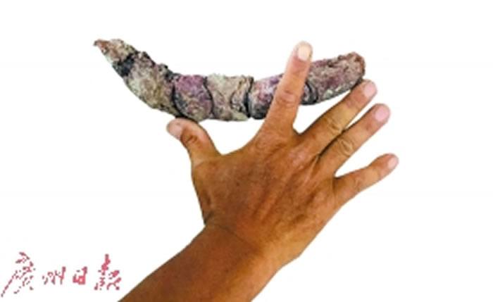 �ԲӻԷ��ֵĳ����ݻ�ʯ��Լ27���ס�