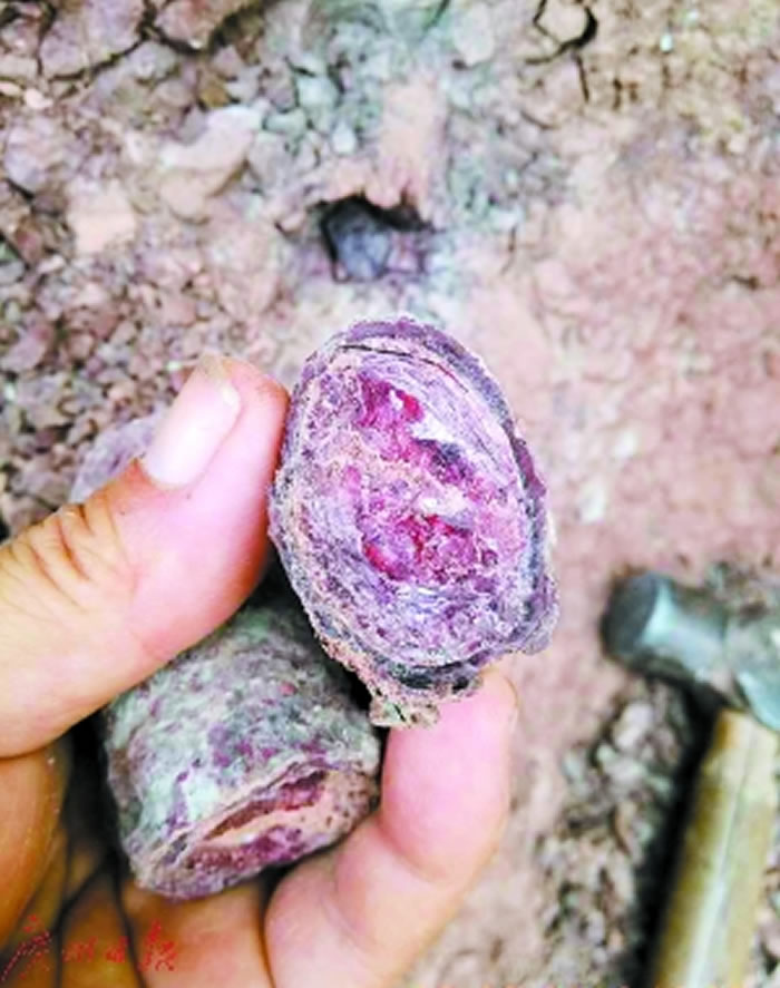 ��ʯ�Ľ�������Ϻ�ɫ��