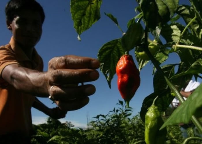 �ϻ꽷������������������֮һ��