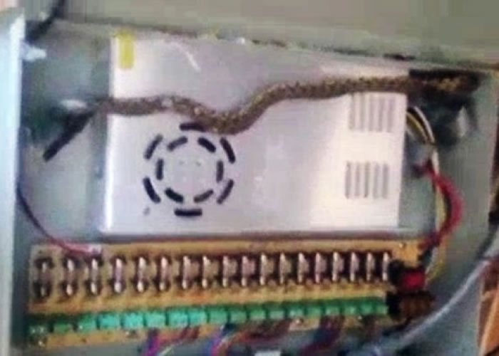 һ���߲��������䣬����Ƶ��ض�·��