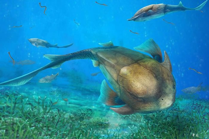 �й������������㡱��ʯ��ʾ������ǿ���׷�ݵ�4����ǰһ��ȫ��Ƥ��