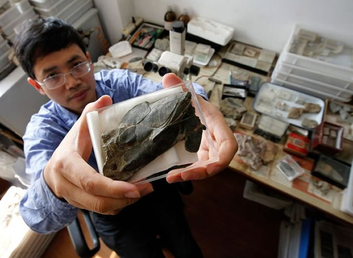 �й������������㡱��ʯ��ʾ������ǿ���׷�ݵ�4����ǰһ��ȫ��Ƥ��