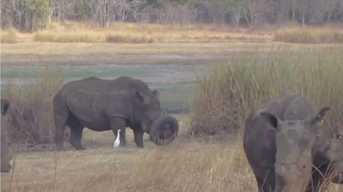 ͲΤȻϬţ̥סͲܳԷ