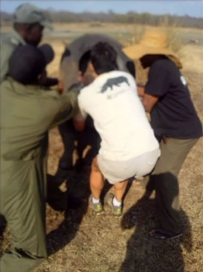 ͲΤȻϬţ̥סͲܳԷ