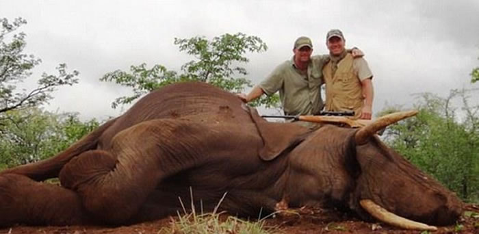 法国足球明星Pascal Olmeta猎杀津巴布韦大象