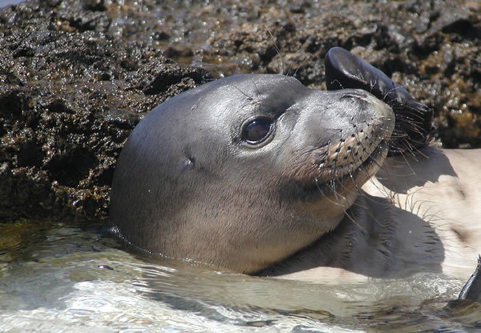 è�ർ��������ɮ���������й��������