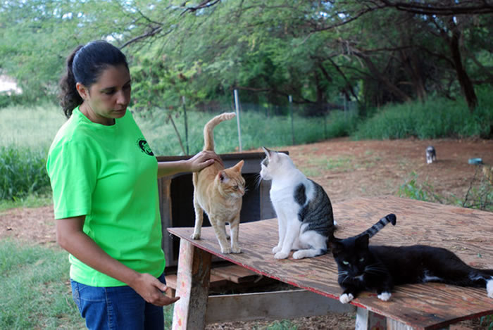 �������洦���ɼ���è��