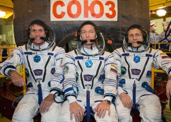 ޡտƷ򼰲ɭƽִж顣