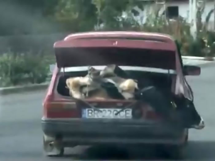 ��������ũ������������ֻţ��������β������