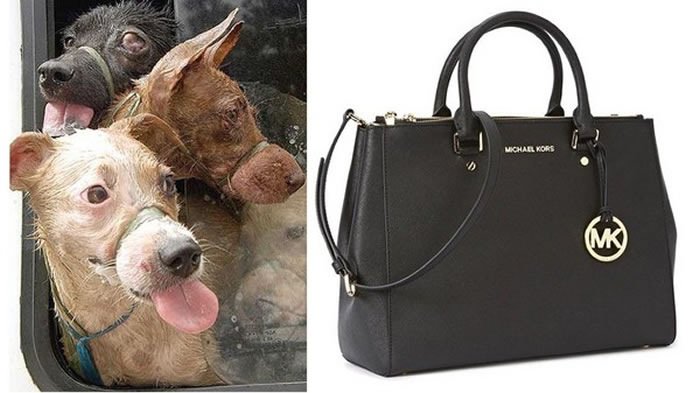 �����ƴ�������֯����Michael Kors�ù�Ƥð����Ƥ Ʒ�Ʋ��⣺������