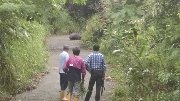 ������������Է�Ⱥ�޷���ǰ���ȣ����ˮţ�����ҧ����������ͼ��������֣־�����飩