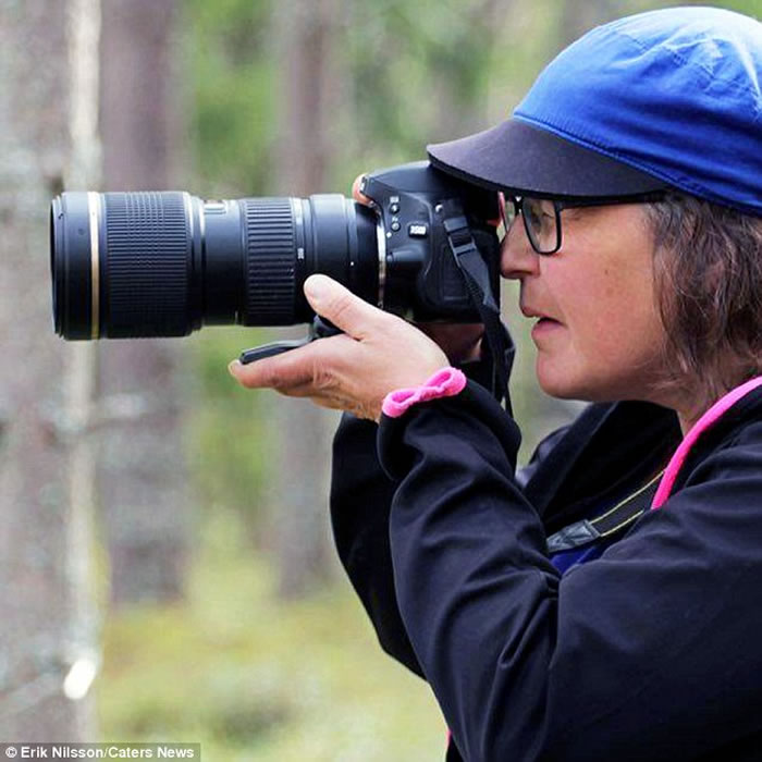 女教师波乔(Siv Poijo)到瑞典的马拉(Mala)度假发现一头稀有的纯白色野生驯鹿