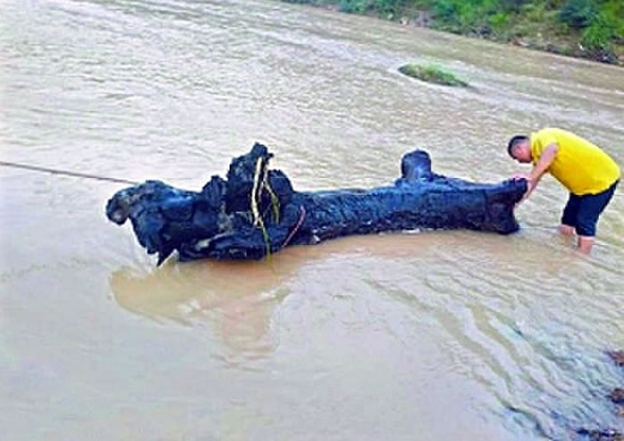 ̨�纣���������㶫��Դ����4000����ʷ����ľ����ľ��