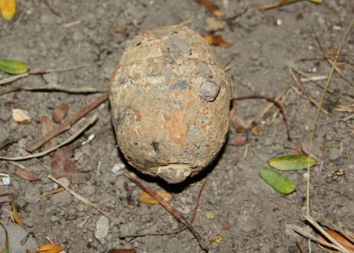 �������˳��������һ������ ����һ����Ȼ��һս����